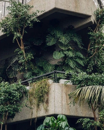 A cover of "brutalist residential" cluster. The owner is lilidanvers. The cluster consists of 12 elements.