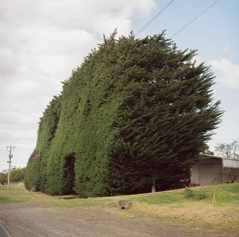 A cover of "Nature" cluster. The owner is cdedreuille. The cluster consists of 4 elements.