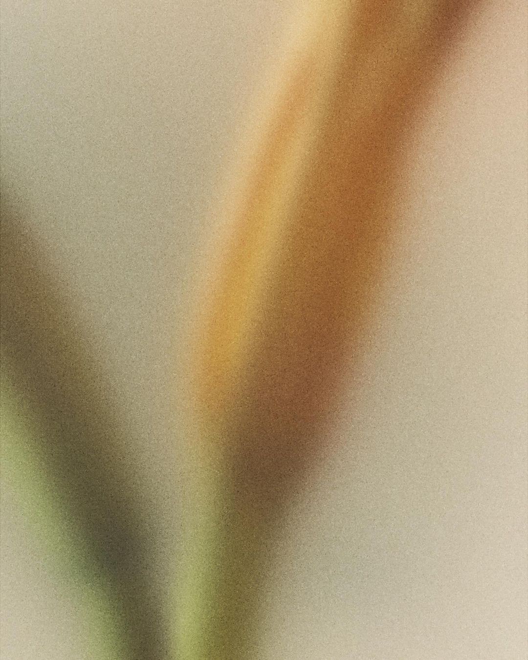 An Instagram  post added on Jan 23, 2024. The author is @keat0n. May present: close up, photograph, plant, tree, wood.