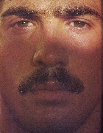 A cover of "Ephemera" cluster. The owner is homohabitual. The cluster description is "NSFW 18+". The cluster consists of 809 elements.