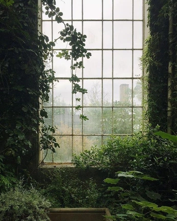 A cover of "when it was quiet. 🌱" cluster. The owner is gray01. The cluster consists of 21 elements.