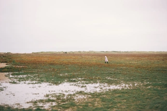 A cover of "Photography ⚡︎" cluster. The owner is simonalibert. The cluster consists of 61 elements.