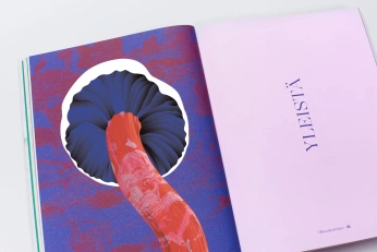 A cover of "Illustration" cluster. The owner is endsor. The cluster consists of 12 elements.