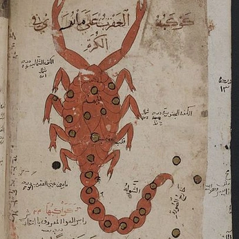 A cover of "creatures n critters" cluster. The owner is valartval. The cluster consists of 61 elements.