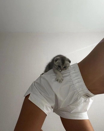 A cover of "pijamas cute" cluster. The owner is andres.atletica. The cluster consists of 33 elements.