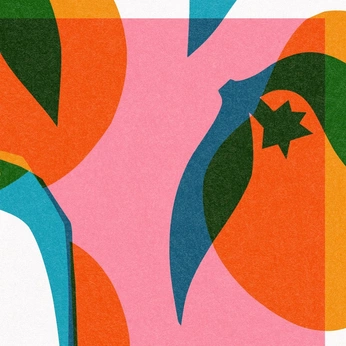 A cover of "🎏" cluster. The owner is louisaa. The cluster consists of 15 elements.