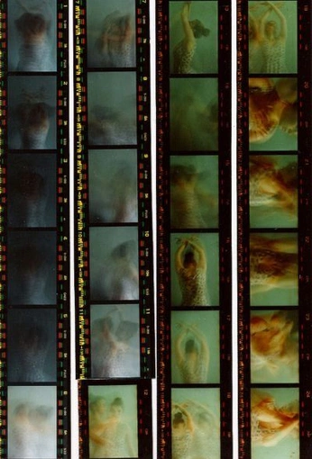 A cover of "WFI Exhibition" cluster. The owner is jbkrauss. The cluster consists of 19 elements.