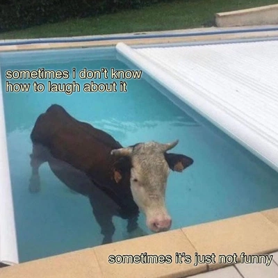 An Instagram carousel post added by jennesaisquoi on Apr 01, 2024. The author is @masturbatriarchy.