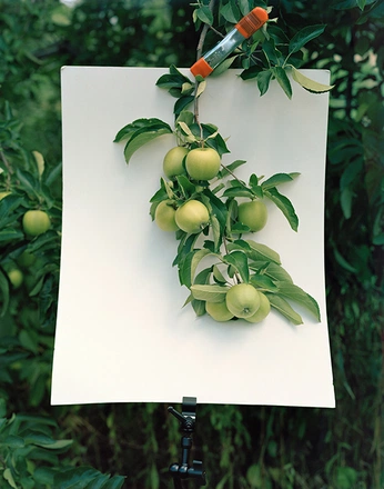 A cover of "direction" cluster. The owner is wagenaar. The cluster consists of 3 elements.