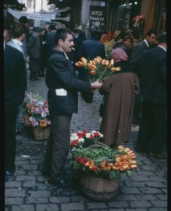 A cover of "OLD MASTER" cluster. The owner is bernise. The cluster consists of 59 elements.