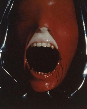 A cover of "Prom" cluster. The owner is dogppl. The cluster consists of 2 elements.