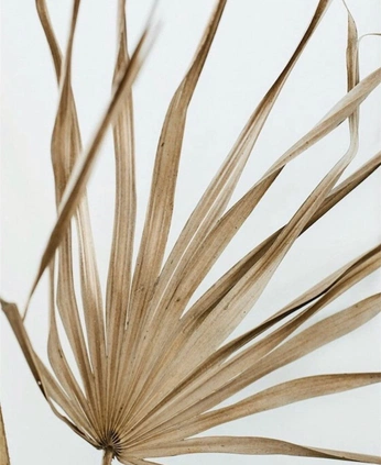 A cover of "Fusion" cluster. The owner is juaaana. The cluster consists of 2 elements.