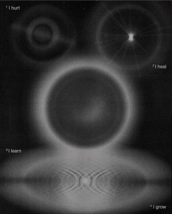 A cover of "los opacados" cluster. The owner is lisi0000. The cluster consists of 31 elements.