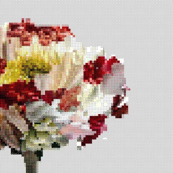 A cover of "cross stitch" cluster. The owner is claude.tzn. The cluster consists of 20 elements.