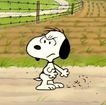 A cover of "snoop!" cluster. The owner is kaitx. The cluster consists of 10 elements.