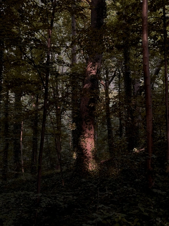 A cover of "aes: windwheel/wolfhook" cluster. The owner is kiieyla. The cluster consists of 5 elements.