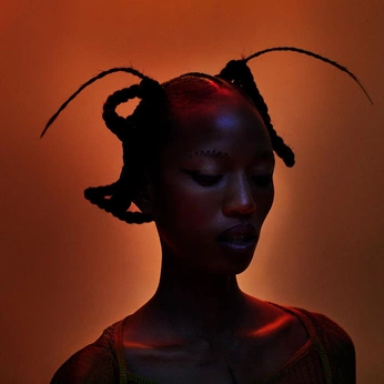 A cover of "Noir" cluster. The owner is cassg. The cluster consists of 5 elements.