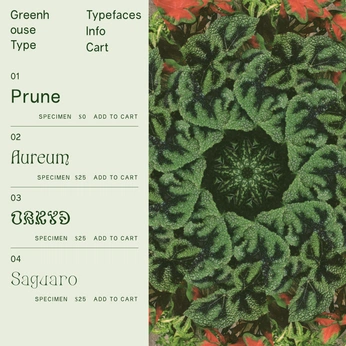 A cover of "GrphcDsng" cluster. The owner is lettmoss95. The cluster consists of 17 elements.