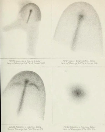A cover of "Web" cluster. The owner is anasofiardzb. The cluster consists of 12 elements.