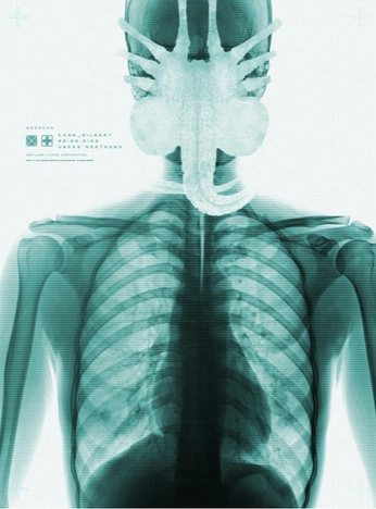 A cover of "TOOL" cluster. The owner is viktorb. The cluster consists of 7 elements.