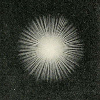 A cover of "Magical" cluster. The owner is studiogail.co. The cluster consists of 6 elements.