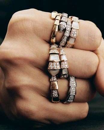 A cover of "Parsley" cluster. The owner is fnerv. The cluster consists of 10 elements.