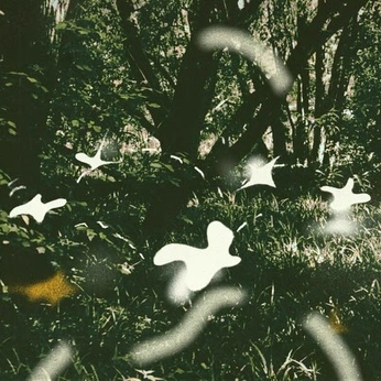 A cover of "Ephemera" cluster. The owner is spencerdwight. The cluster consists of 91 elements.