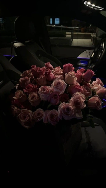 A cover of "my" cluster. The owner is estreladasolidao. The cluster consists of 90 elements.