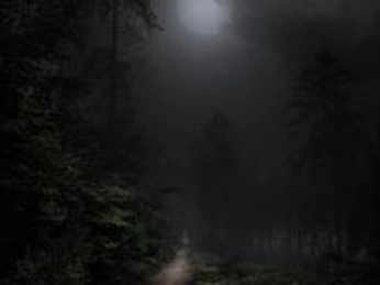 A cover of "Madk!!" cluster. The owner is phoe.thefoe. The cluster consists of 338 elements.