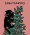 Cover of Sagitarius♐... cluster