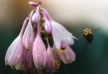 A cover of "Nature" cluster. The owner is tseabold. The cluster consists of 14 elements.