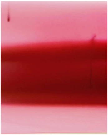 A cover of "color" cluster. The owner is daveveda. The cluster consists of 28 elements.