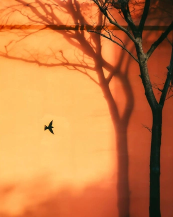 A cover of "seasons" cluster. The owner is mrnltt00. The cluster consists of 7 elements.