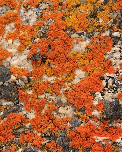 An Instagram carousel post added by bejud on Jan 17, 2024. The author is @lesothers.