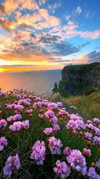 A cover of "Clouds" cluster. The owner is percinski. The cluster consists of 5 elements.