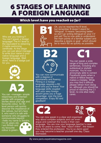 A cover of "Language" cluster. The owner is unobtainium. The cluster consists of 1 element.