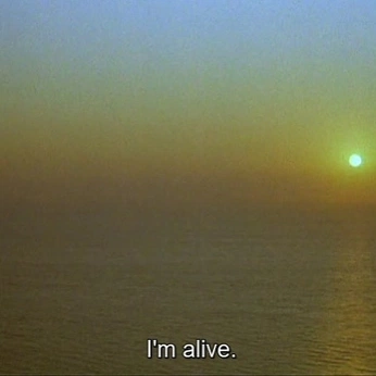 A cover of "word of word 📹" cluster. The owner is fitty. The cluster consists of 5 elements.