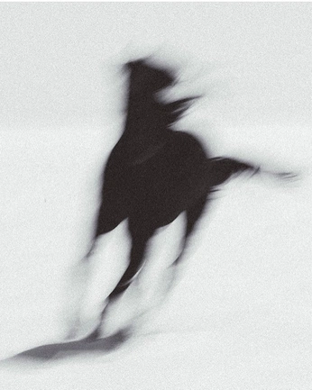 A cover of "herder." cluster. The owner is slashers. The cluster description is "N-N". The cluster consists of 350 elements.