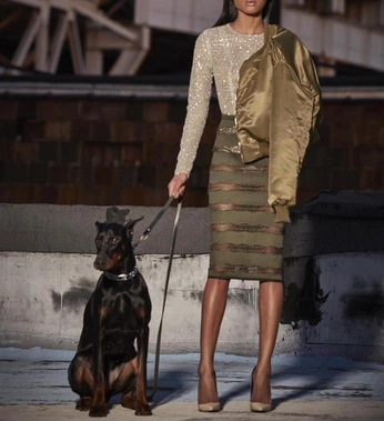 A cover of "animals" cluster. The owner is besa. The cluster consists of 31 elements.