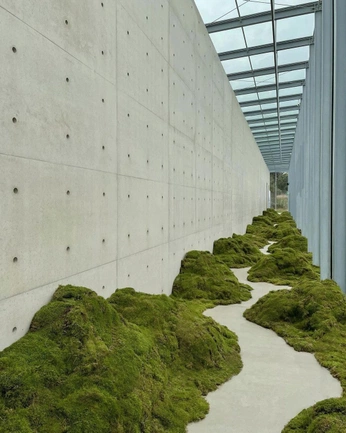 A cover of "sherva" cluster. The owner is plastikman. The cluster consists of 11 elements.