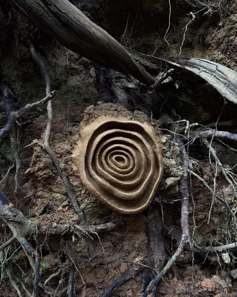 A cover of "꩜" cluster. The owner is maaryy. The cluster consists of 5 elements.