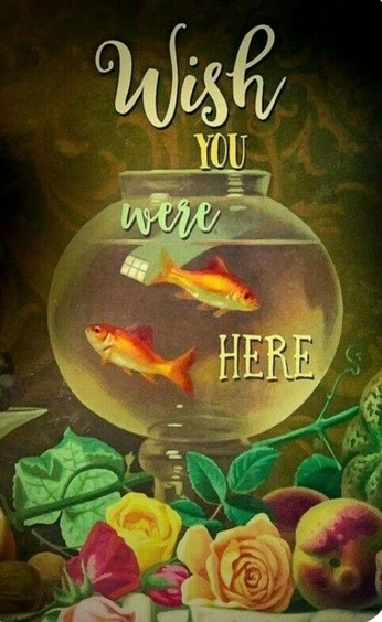 A cover of "wow ilike that" cluster. The owner is lucyintheskyy7. The cluster consists of 263 elements.