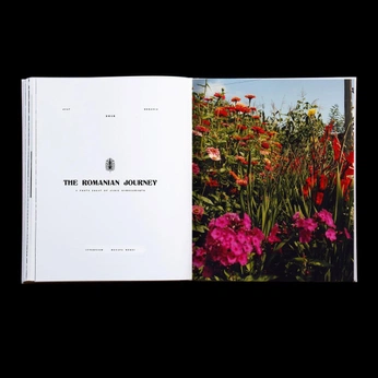 A cover of "Livre" cluster. The owner is julietteoho. The cluster consists of 1 element.