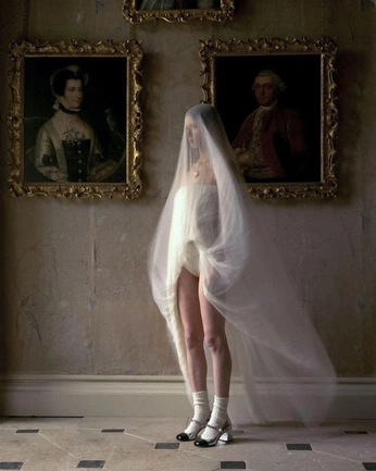 A cover of "Ingrid concept" cluster. The owner is eviemallett. The cluster consists of 14 elements.