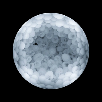 A cover of "01000001" cluster. The owner is 01000001. The cluster consists of 94 elements.