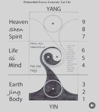 A cover of "The self" cluster. The owner is jessicaangela. The cluster consists of 1 element.