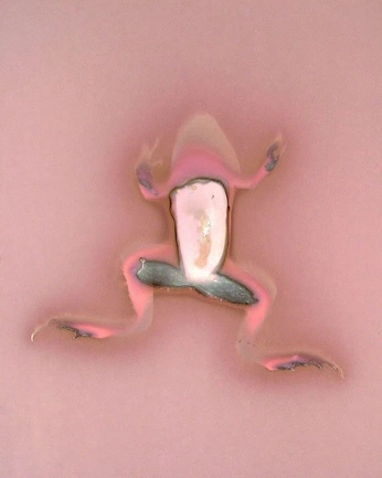 A cover of "Frog" cluster. The owner is satelight. The cluster consists of 3 elements.