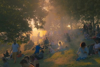 A cover of "vibe" cluster. The owner is rileydesigner. The cluster consists of 9 elements.