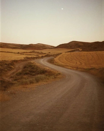 A cover of "Elemental" cluster. The owner is abigaileir. The cluster consists of 220 elements.