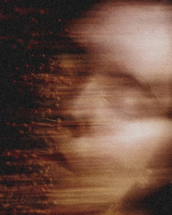 A cover of "westbound" cluster. The owner is petalmouth. The cluster consists of 14 elements.